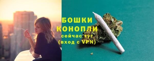 таблы Дмитриев