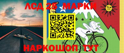амф Можга