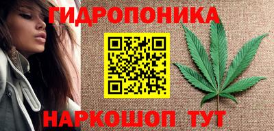 амф Можга