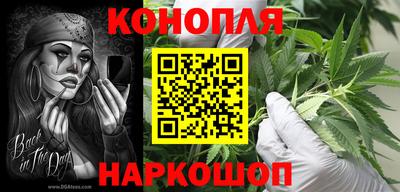 амф Можга