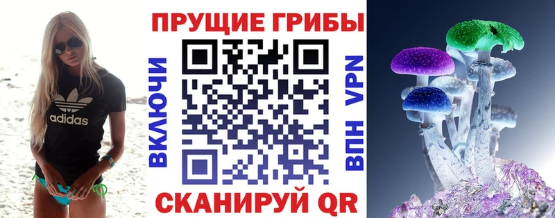 Псилоцибиновые грибы Cubensis Искитим
