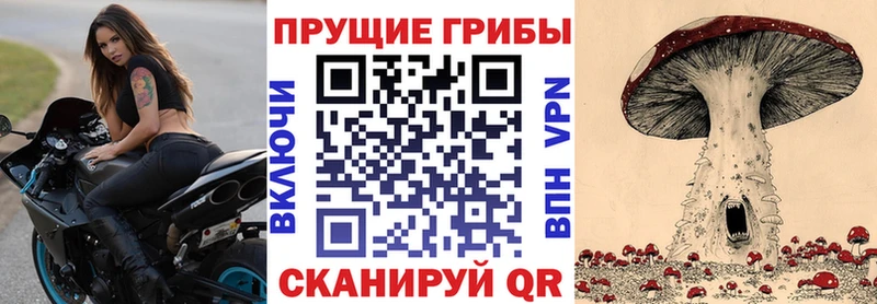 где продают наркотики  Искитим  Псилоцибиновые грибы Cubensis 