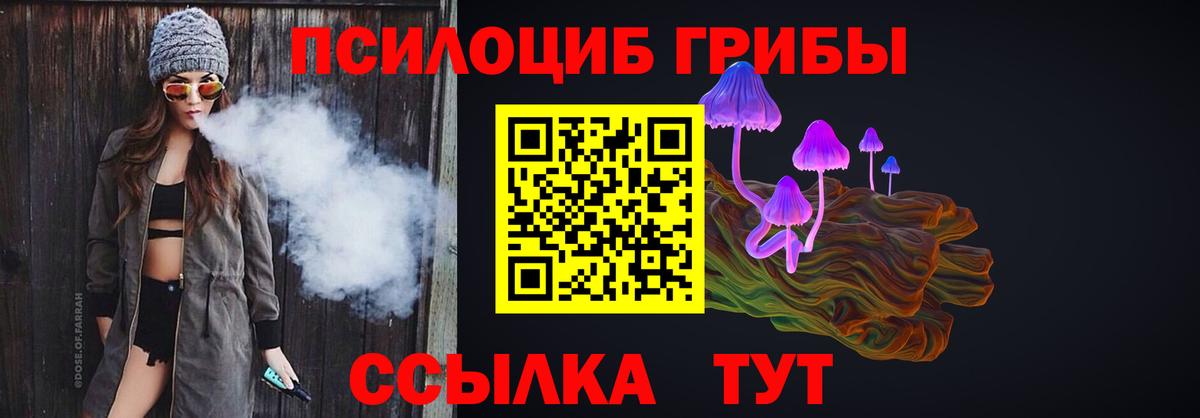 Искитим  Псилоцибиновые грибы Psilocybe  Вход с VPN  Псилоцибиновые грибы GOLDEN TEACHER 