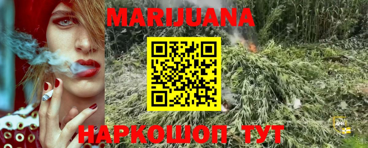 Бошки Шишки гибрид Искитим